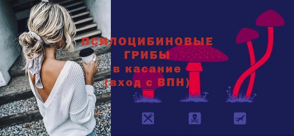 сатива Бугульма
