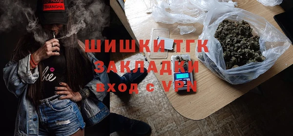 прущие крисы Бородино
