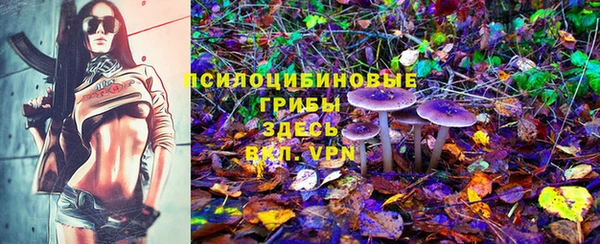 прущие крисы Бородино
