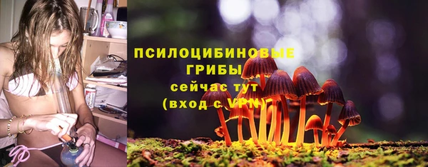 сатива Бугульма